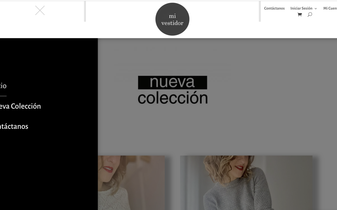 Casos de Éxito: Cómo un Diseño Web Personalizado Transformó el Negocio de Mi Vestidor Shop