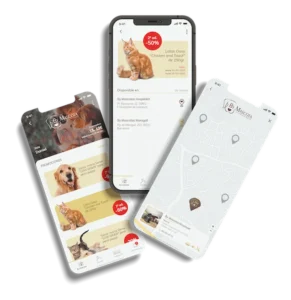 Imagen de ejemplo de creación de apps para By Mascota