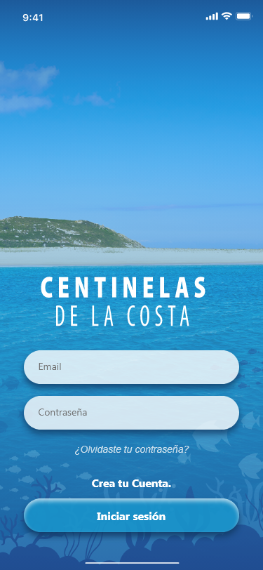 Pantalla 1